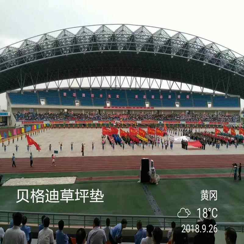 保大ESO型演唱会音节拼式草乐坪护板护草地板装护板草地地垫防滑