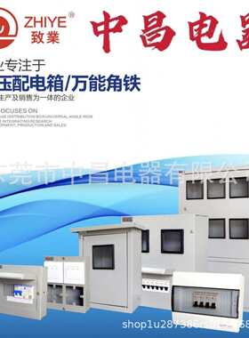 致业户外挂墙C45上下门多位斜顶单相电表+202配电箱多规格