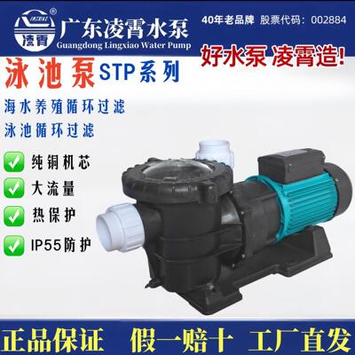 广东STP海水过滤循环泵泳池泵过滤抽水泵海水养殖泵浴池SPA泵