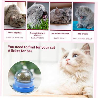 Catnip Wall Ball Cat Toys Pet Toys for Cats Clean Mouth Prom