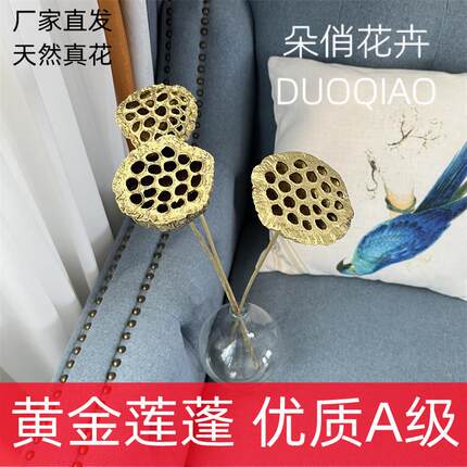 金莲蓬干花黄金莲蓬天然干花花束金色莲蓬带杆禅意花束家居装饰花