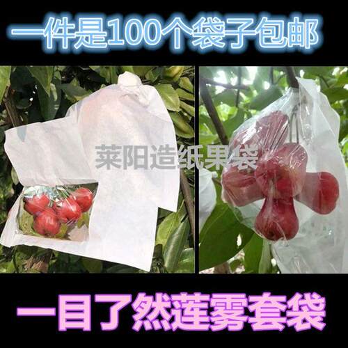 源丰莲雾开 窗半透明加厚水蓊套袋专用洋蒲桃纸袋天桃水果袋释迦