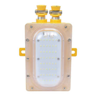 矿用隔爆型兼本安型LED巷道灯 矿用LED照明灯投光灯 127L DJS28