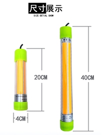 12V夜钓灯0垂钓翘嘴筏钓W灯冰集水鱼灯下销海钓钓诱鱼灯直10