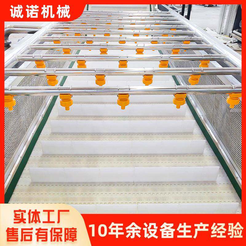 气流风机鼓泡式果蔬气泡清洗机 全自动山野菜去农残气泡清洗机