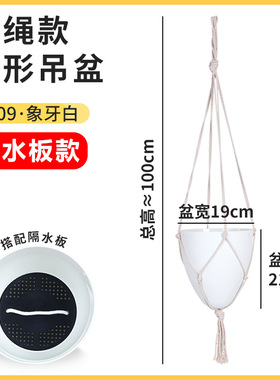 欧林泽花盆D蛋形垂吊盆塑料懒人