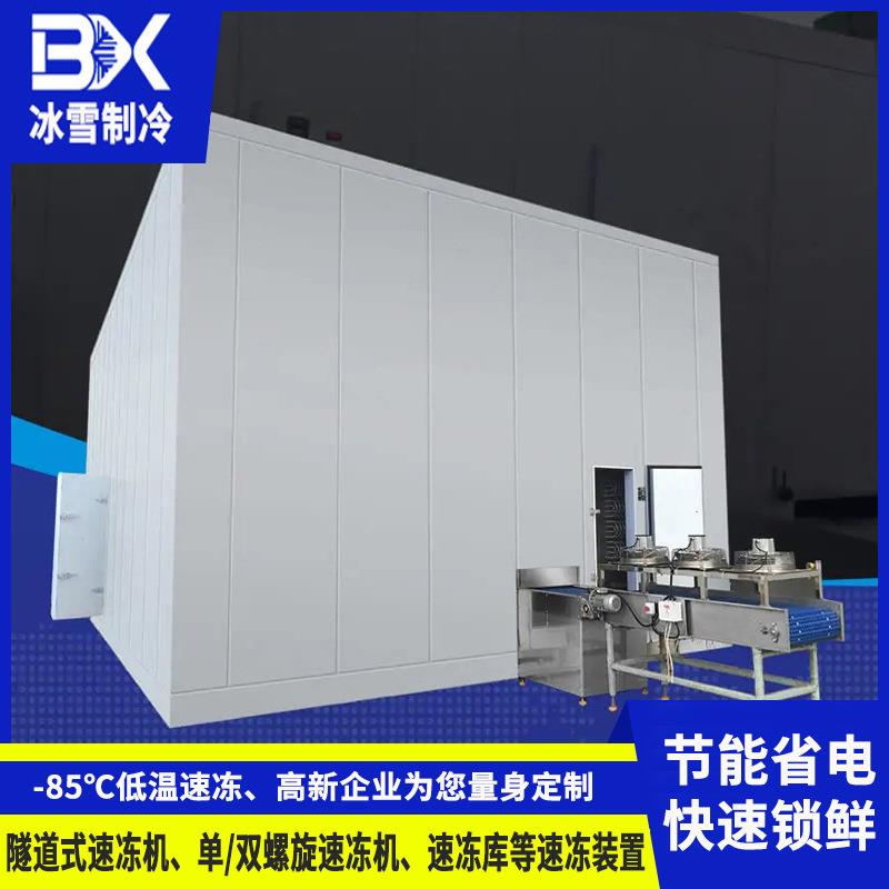 隧道式氟利昂速冻机 自动化低温冷藏速冻设备 食品流水线速冻机
