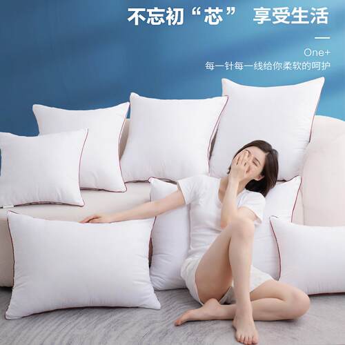 抱枕芯内胆沙发枕芯靠包靠垫芯45x45不塌陷50x50大靠背内芯靠枕芯