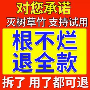 杀树一针灵烂根强力除树专用药树枯死腐蚀树根杂草灌木除树剂