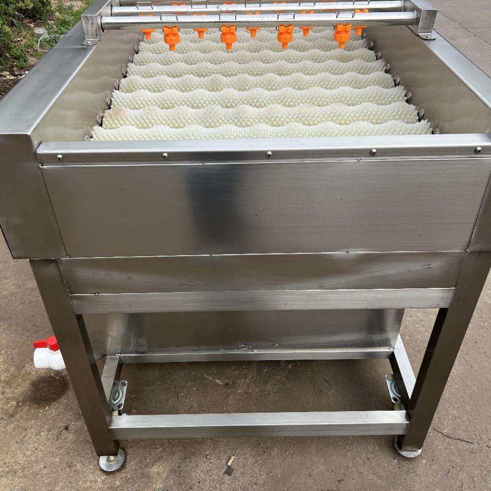 海蛎子清洗机器包菜清洗生产流水线青菜洗菜设备机械