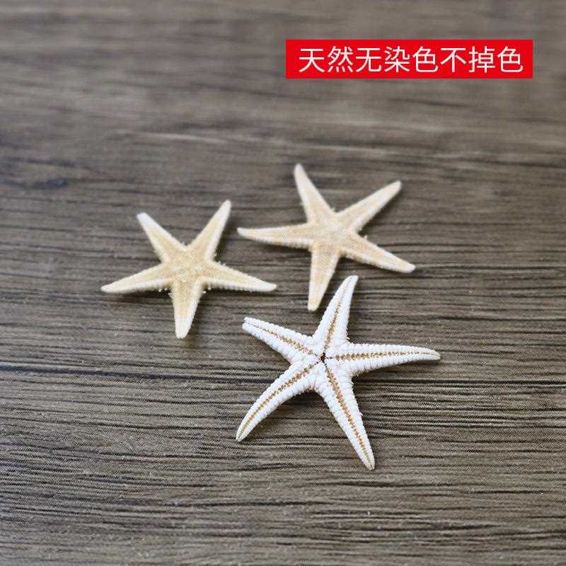 新款直销天然贝壳海螺迷你小海星玻璃瓶微景观装饰手工配件材料