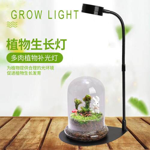 全光谱植物生长补光灯适用于微景观生态瓶与盆栽多肉植物水草
