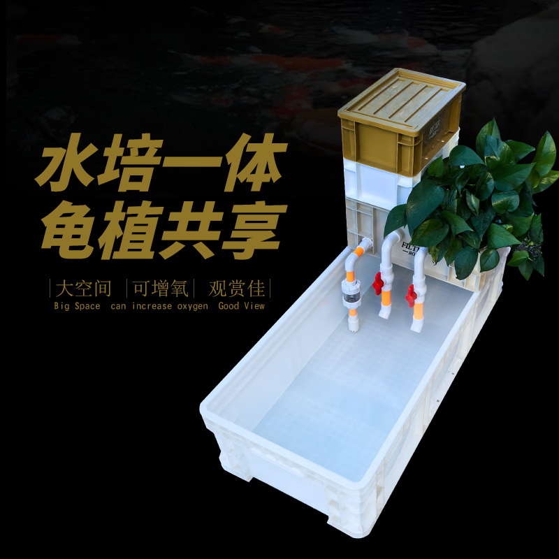 乌龟饲养缸周转箱养龟内置水泵过滤箱生态缸加厚鱼龟养殖箱家用