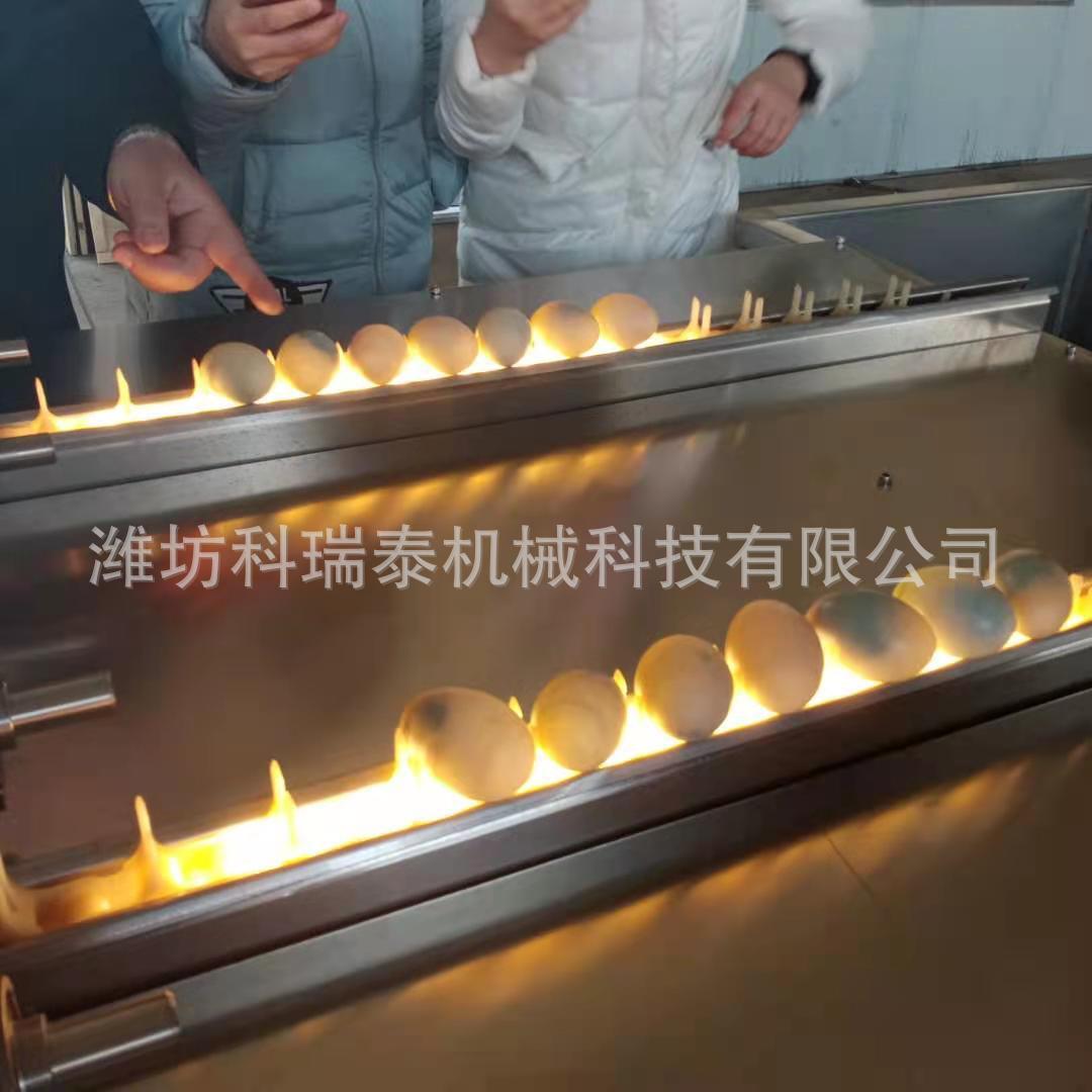 小型鸭蛋洗蛋机 自动上蛋鸡蛋鸭蛋清洗设备 供应卤蛋生产线价格