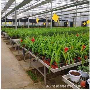 移动苗床热镀锌架子铝合金边框移动苗床花卉蓝莓种植育苗苗床