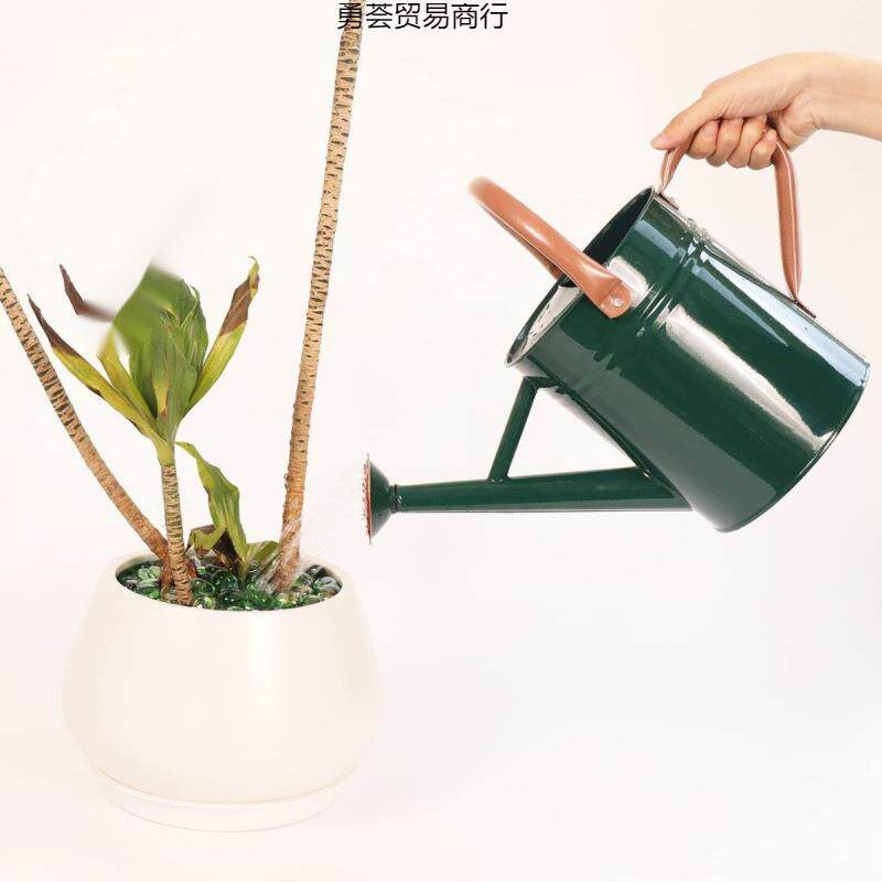 欧美高品质洒水壶浇花壶两用