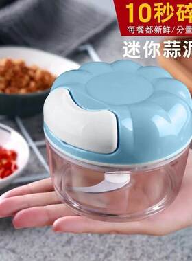 Mini Garlic Mincer Manual Garlic Press Small Garlic Chopper