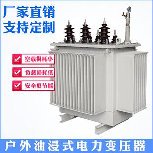 电力变压器10KV变400V铁塔通信柱上变压器20 30KVA 10KVA油浸式