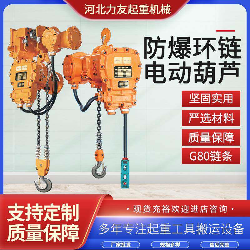 防爆环链电动葫芦1t2tt5t挂钩固定式运行式粉尘防爆遥控电动葫芦