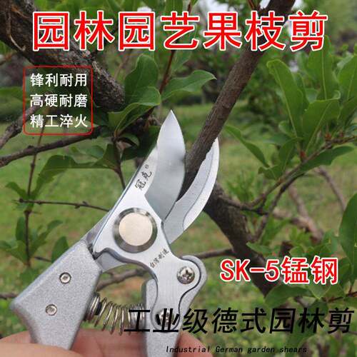新款直销跨境外贸SK5果枝剪 修枝剪 树枝省力剪刀 粗枝剪园林园艺