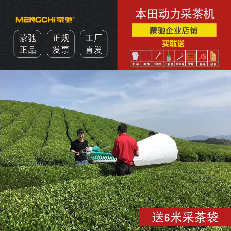 汽油单人背负式茶叶修剪机割草机采茶机绿篱修剪园林专用割灌机