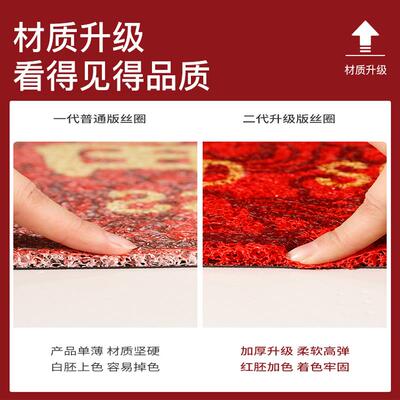 天台悦先丝5圈垫ltao6092入户地毯2地02圆新款门垫家用门口脚垫进
