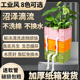 鱼缸周转箱沼泽过滤箱鱼池水循环系统过滤滴流盒水培生态滴滤箱