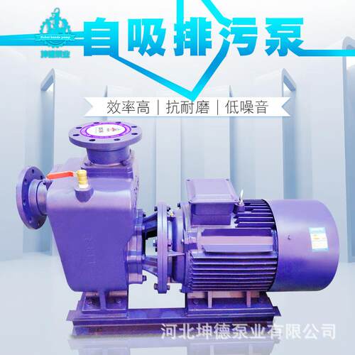三相自吸泵直连式沼气抽粪污水泵家用无堵塞输送泵排污泵
