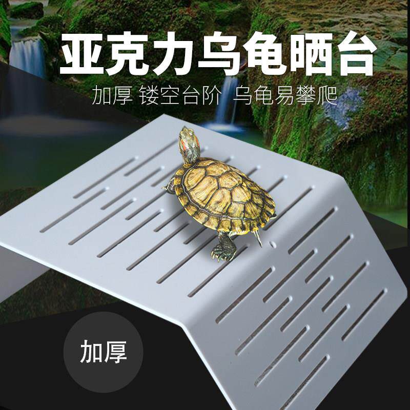 乌龟爬台晒台龟缸晒背台攀爬台白色加厚加大号压克力滤水台防软壳
