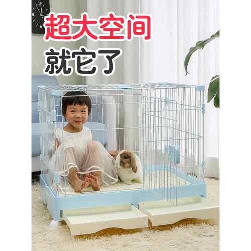 兔笼自动清粪养殖室内户用豚鼠兔窝房豚鼠宠物笼房防喷尿