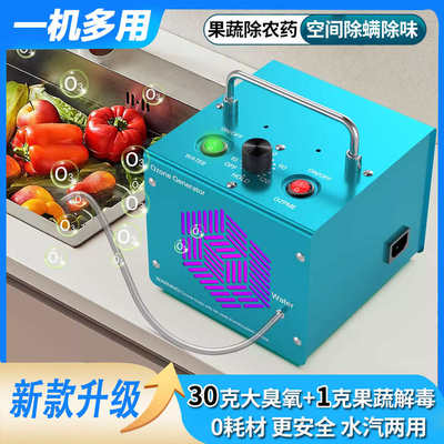 家用空气臭氧消毒机臭氧发生器除味器除甲醛净化器活氧果蔬解毒机