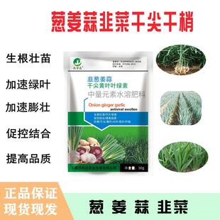 大蒜小葱大葱香葱韭菜黄姜专用叶面肥料壮根增产防干尖黄叶专用药