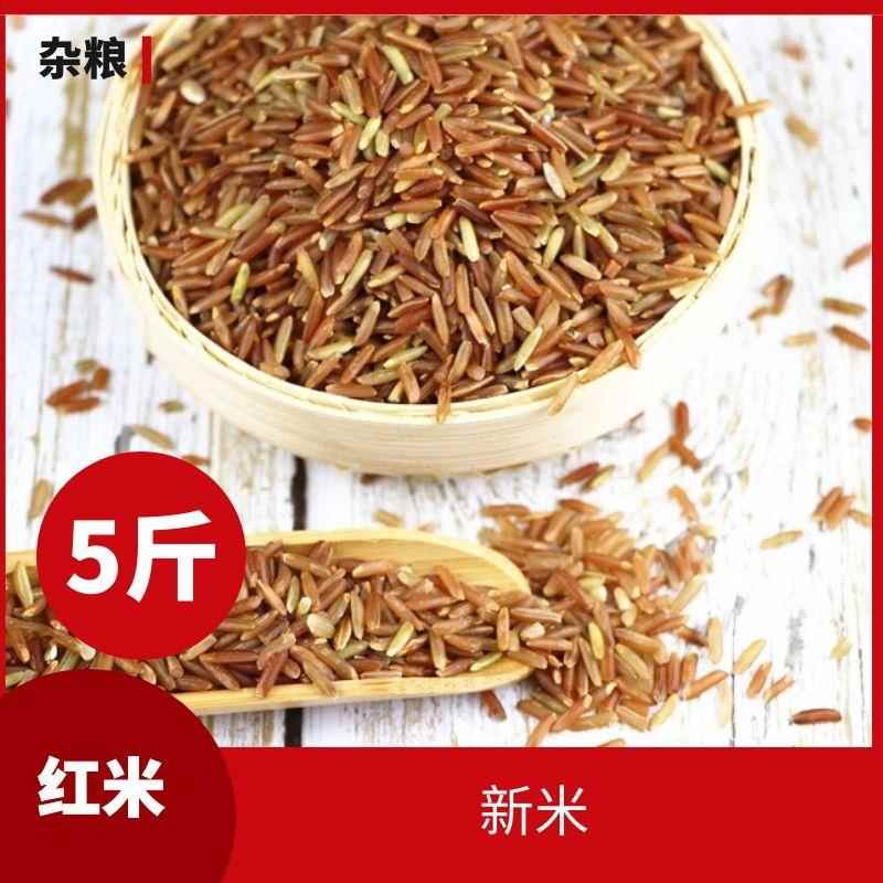 红糙米新米5斤 胚芽米农家自产红粳米红稻米红大米红米杂