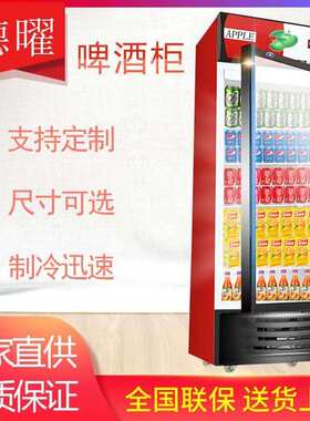 饮料展示柜啤酒柜立式直冷双门冰柜玻璃冰箱带轮子冷藏保鲜柜