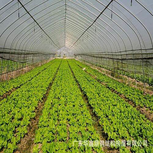 直销温室大棚搭建农作物棚直销连栋薄膜温室 蔬菜大棚温室 高温大