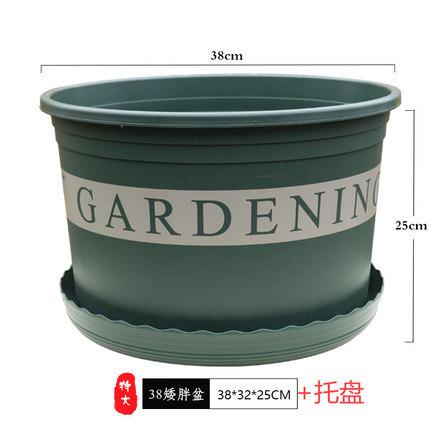 黑加仑花盆花盆园艺用品草莓花瓶