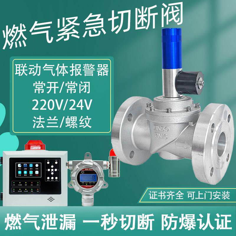 瓦斯自动切断阀燃气液化气工业电磁阀紧急警报器商用法兰螺纹
