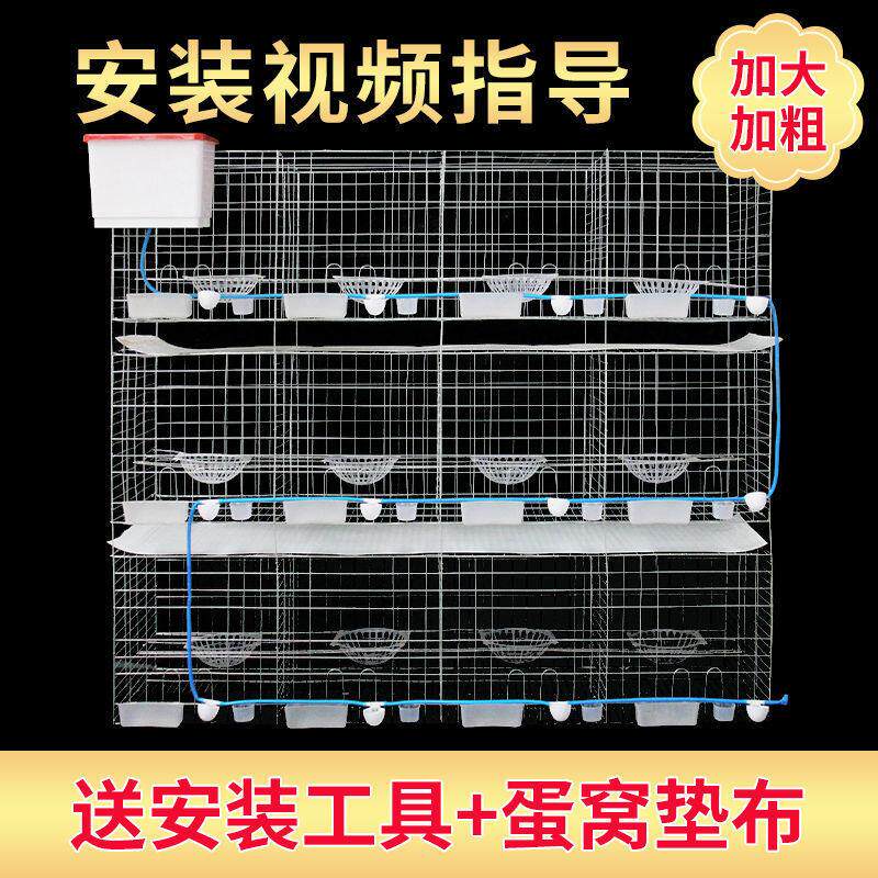 鸽子笼鸽子笼子家用养殖鸽子龙大号套鸽舍鸽棚大型网配对