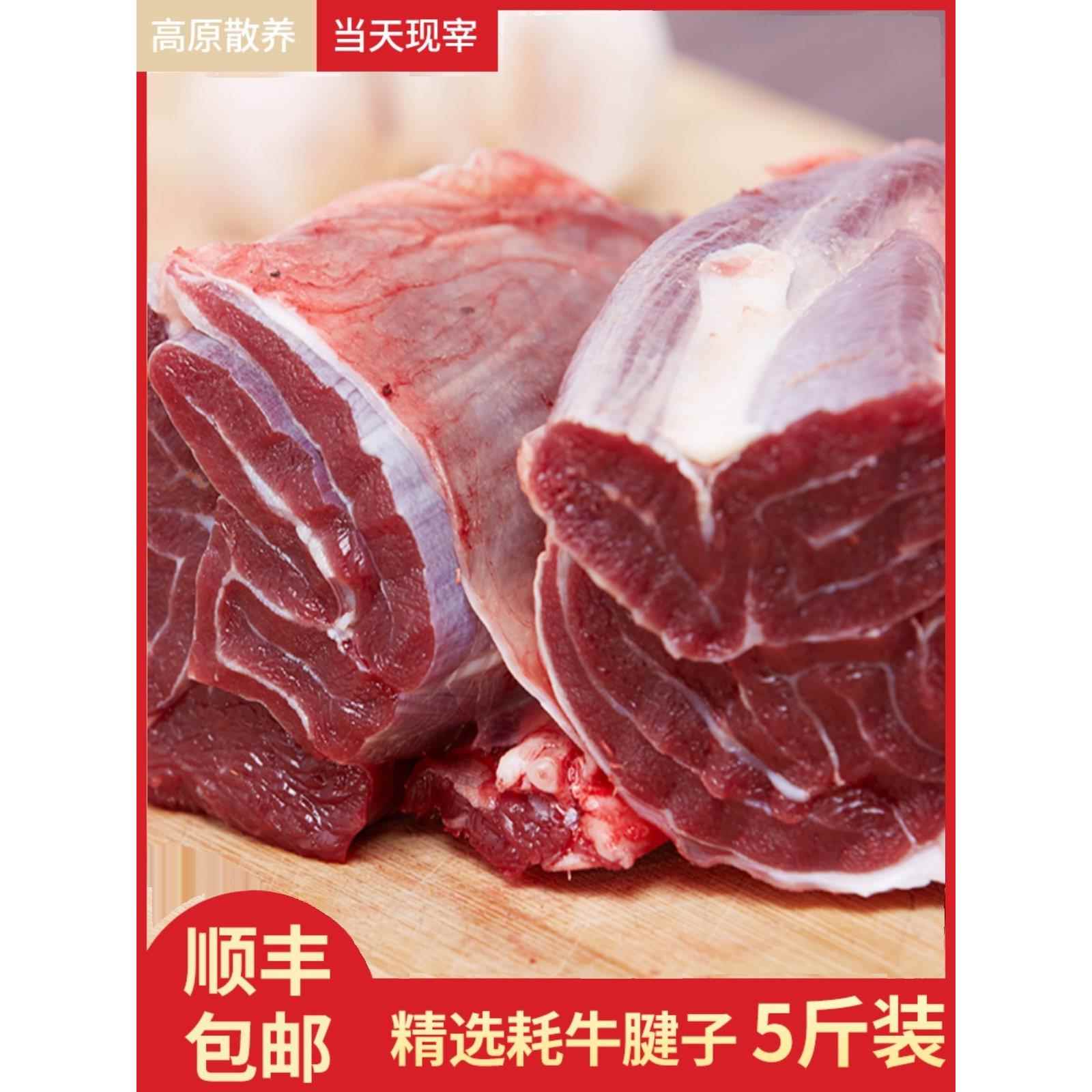 肃南国产高原牦牛肉新鲜牦牛腱子散养低脂健身牛肉纯瘦肉5斤装