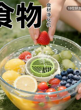 食材超声波果蔬清洗机家用水果蔬菜净化器去农残洗菜机食材杀菌机
