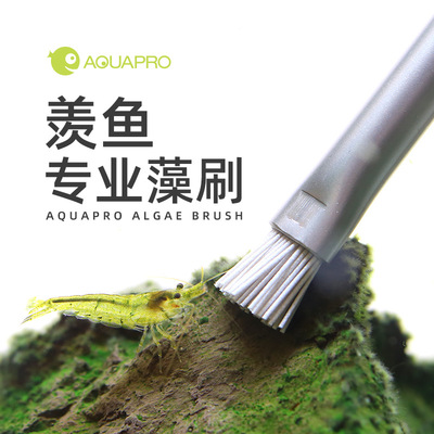 羡鱼AQUAPRO 造景石清洁刷不锈钢藻刷水草造景刷强力除藻金属刷头