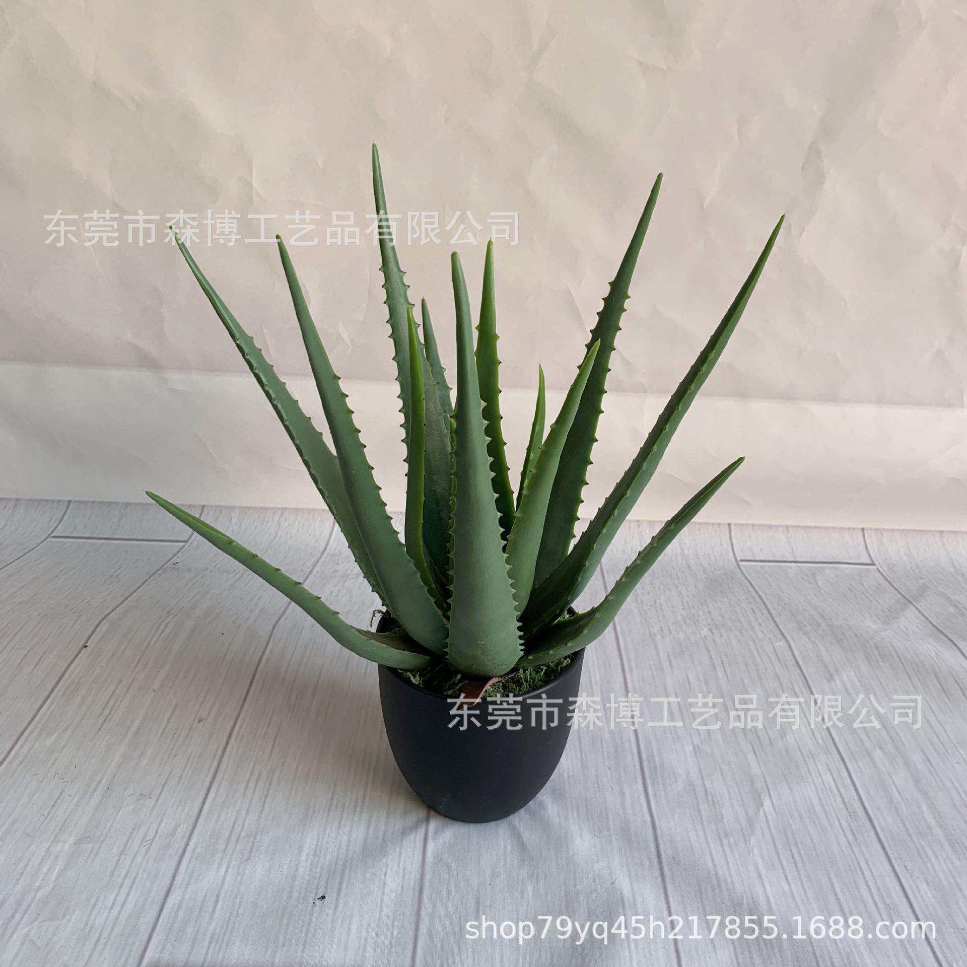 仿真植物假芦荟盆栽盆景室内外客厅桌面多肉小绿植摆件橱窗装饰