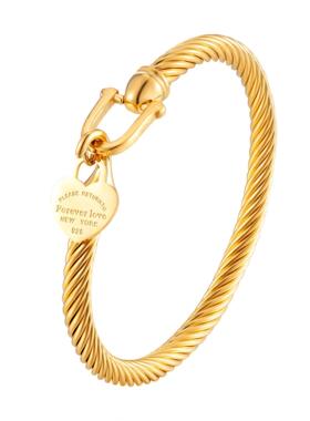 361L Titanium Stainless Steel Bangles Bracelets Charm Gold C