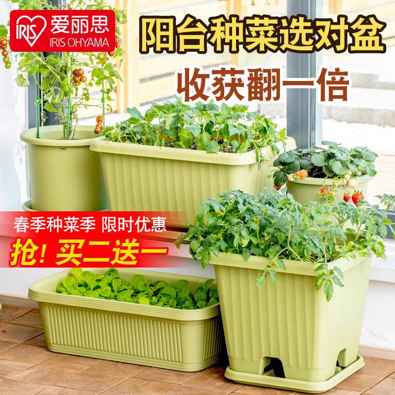 IRIS加厚树脂塑料花盆长方形种菜盆蔬菜种植箱爱丽丝阳台果蔬盆
