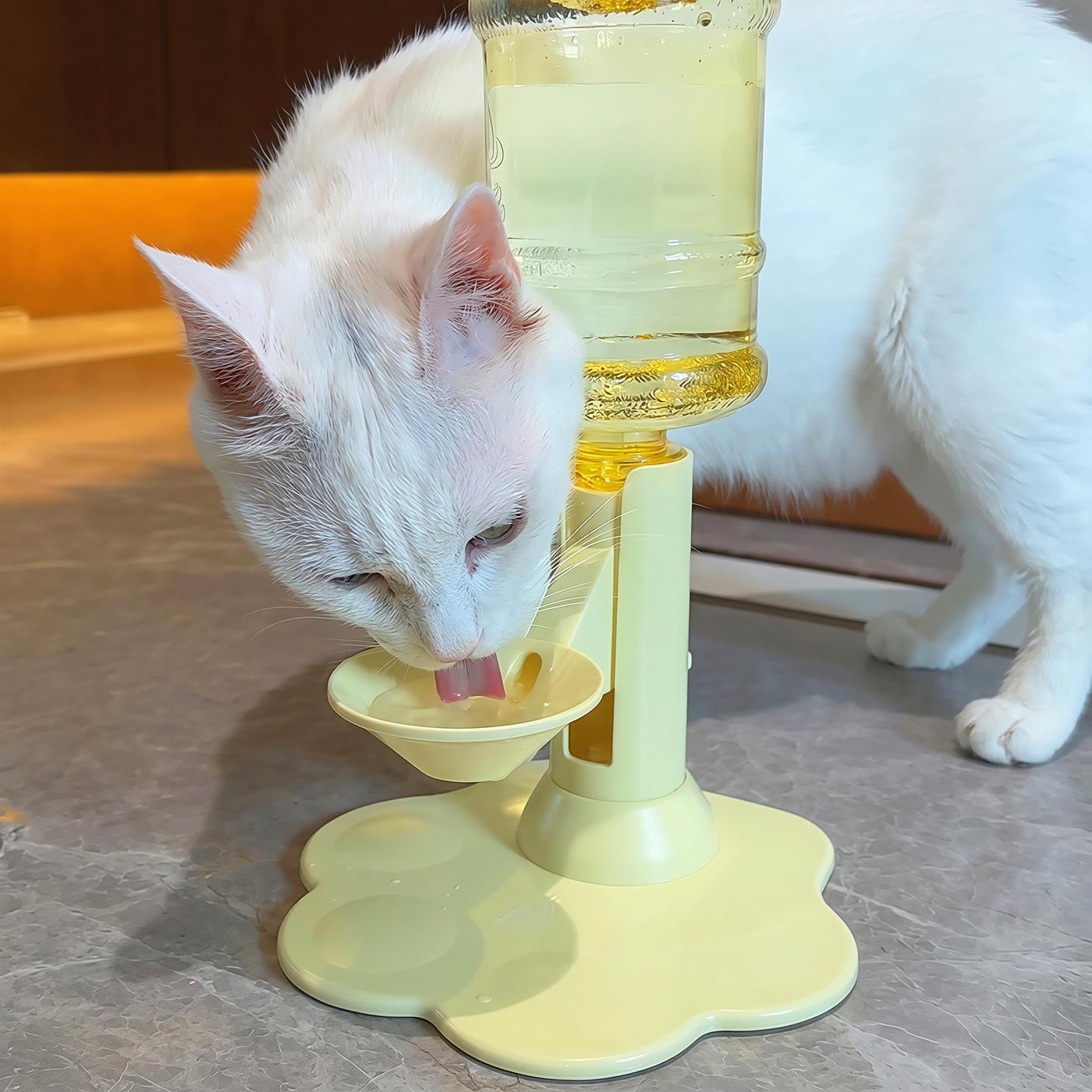 猫咪自动饮水机自动循环不插电加高护颈底部大吸盘不漏水不湿下巴