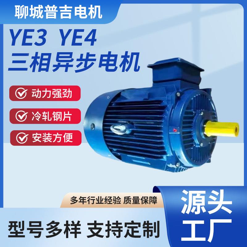 高效率三相异步电动机YE2YE3YE4系列纯铜电机200-355基座4极