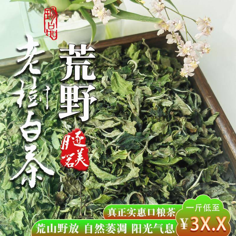 云南高山荒野老树大白茶明前春茶手工白牡丹散装口粮茶叶源头直发