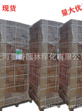 厂家直销椰砖椰砖土耶砖 椰粉砖椰丝砖 种菜土种花土营养椰土椰