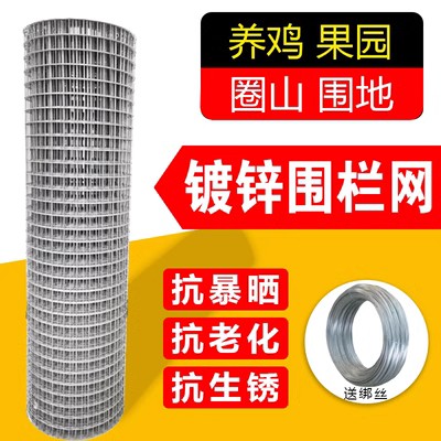 热镀锌细丝电焊网抹墙网防锈电焊网养鸡鸭内外墙保温防开裂焊