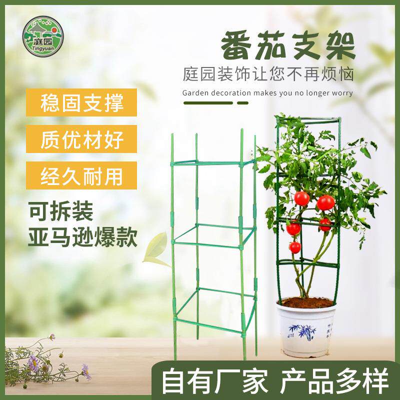 番茄支柱爬藤支柱支架阳台种菜园艺包塑钢管番茄支柱套装